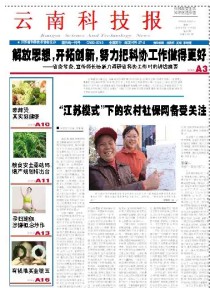 云南科技报